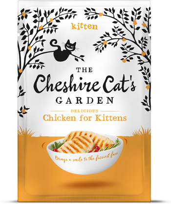 Chicken for Kittens